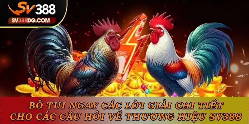 Bỏ túi ngay các lời giải chi tiết cho các câu hỏi về thương hiệu SV388