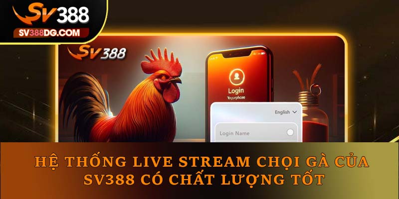 Hệ thống live stream chọi gà của SV388 có chất lượng tốt