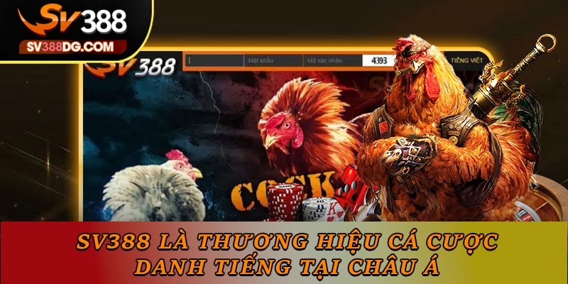 SV388 là thương hiệu cá cược danh tiếng tại châu Á