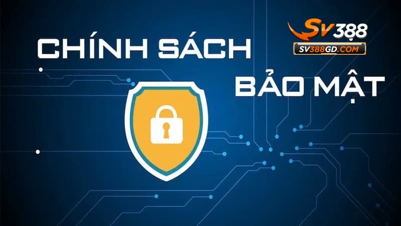 Lý do nhà cái SV388 thiết lập chính sách bảo mật