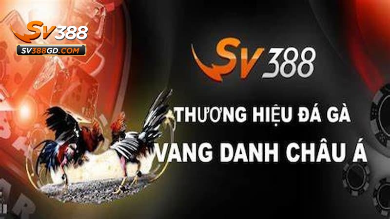 Các sảnh cược hot chỉ có tại nhà cái SV388