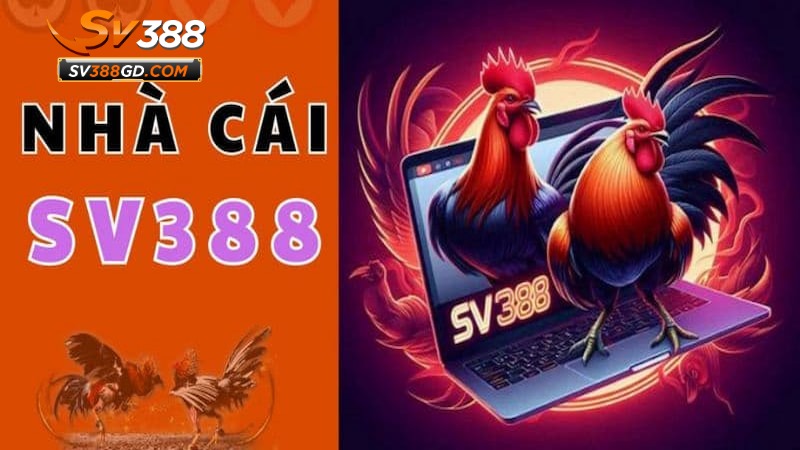 Thách thức và định hướng tương lai của tác giả CEO SV388